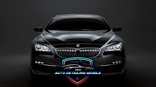 pro auto detailing - Visual