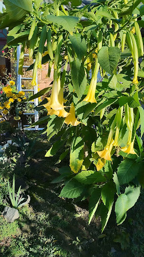 Opinii despre Peugeot Antibes - Groupe Chopard în Antibes - Concessionnaire