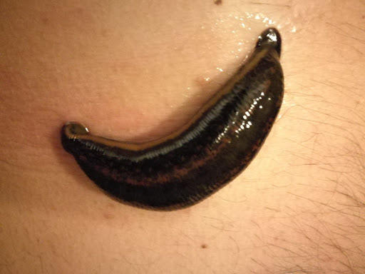 Gabinet Podologii i Hirudoterapii