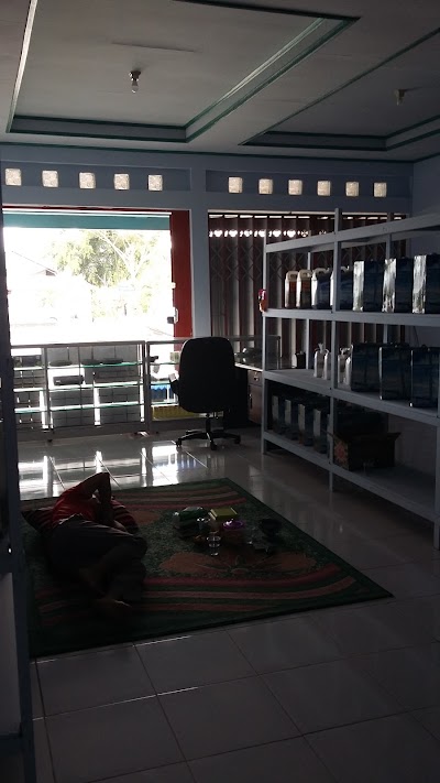 Photos of Sangatta Walet