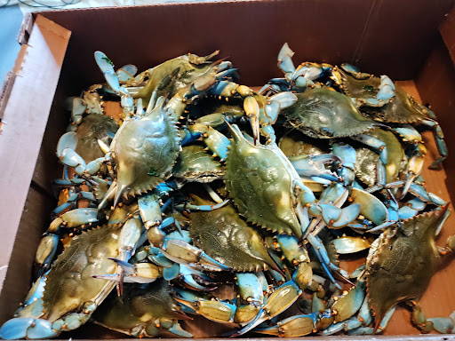 CRABS EXPRESS INC Gallery - United States
