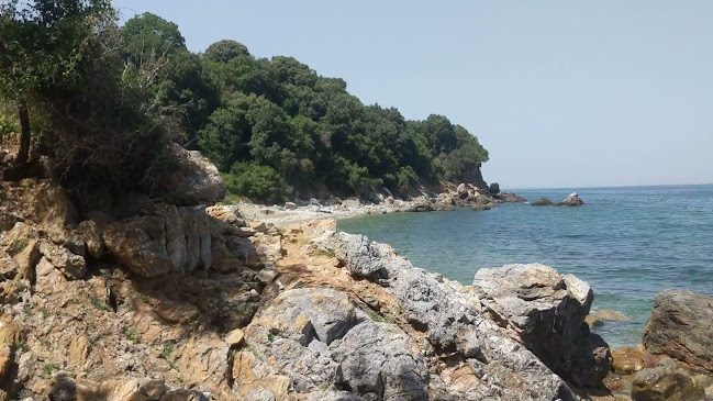 Opinii despre Παραλία Καλυβί în Αγιά - Ξενοδοχείο