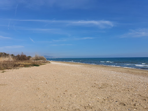 Camping Torre La Sal Maria Gallery - Spain