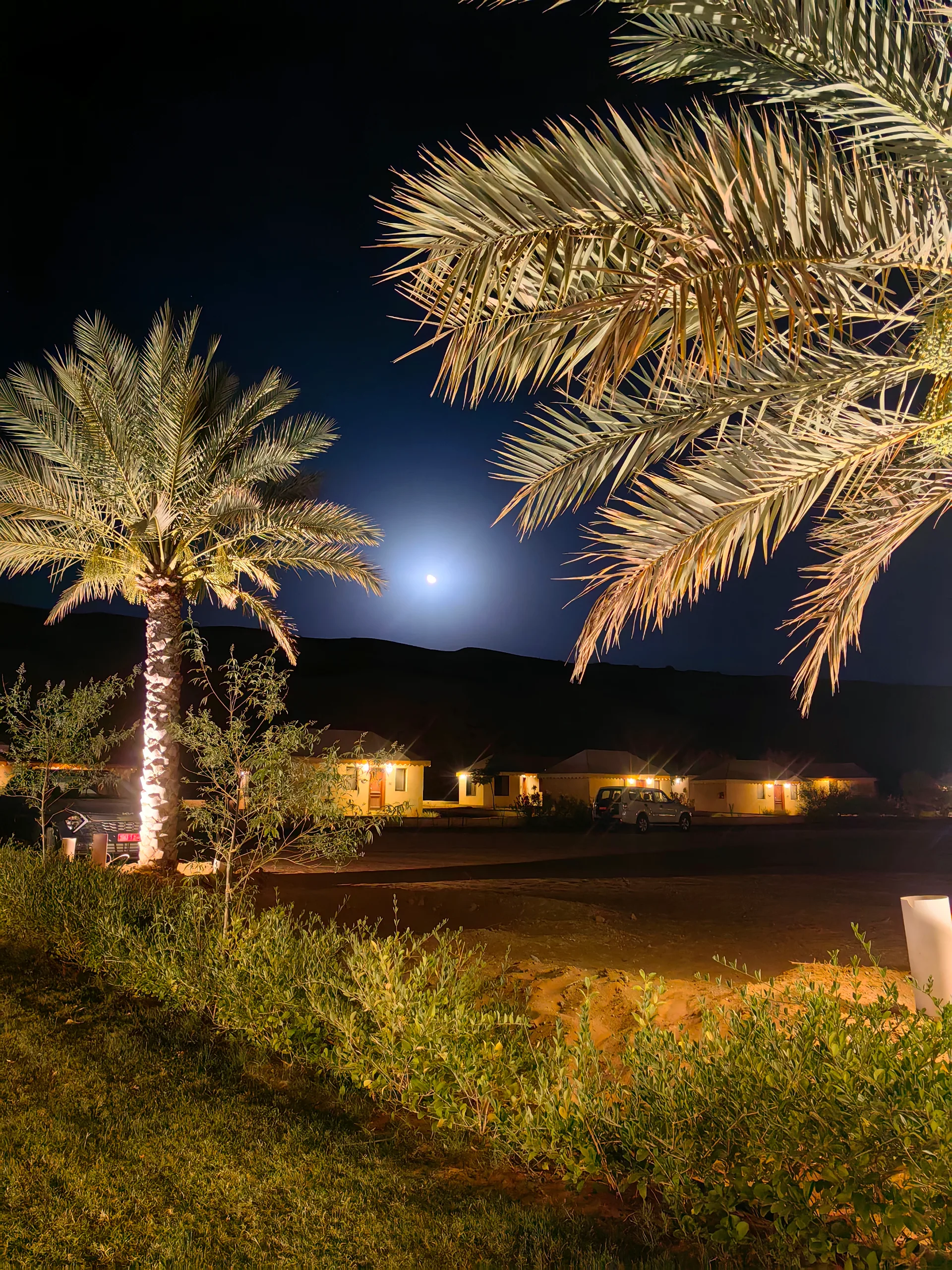 Desert Rose Camp Oman wahiba sands