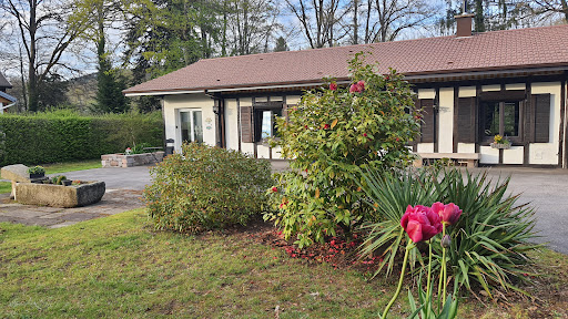 Photo de La Valentine piscine et spa privé à Hadol (88220)