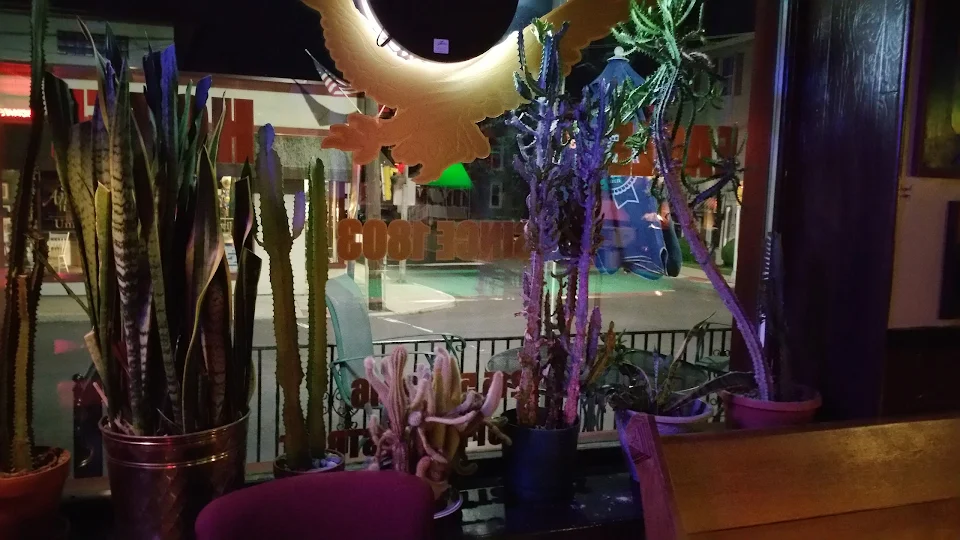 Eagle Hotel/The Local photo
