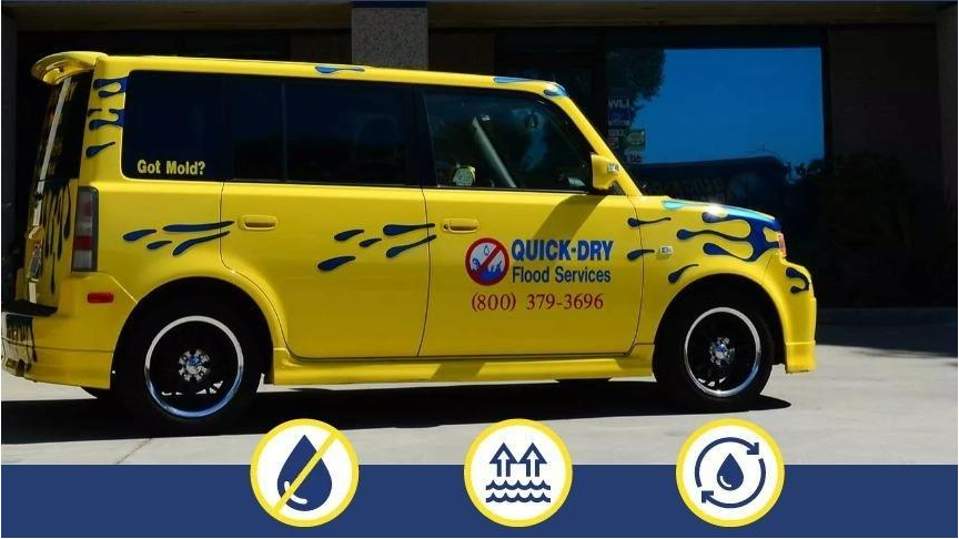 Quick-Dry Flood Services photo
