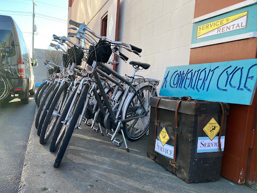 A Convenient Cycle - Visual