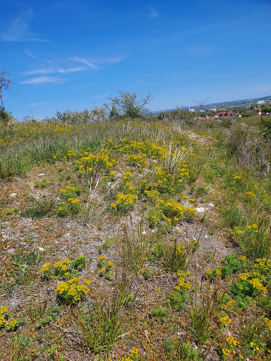 Schwellenburg - Visual