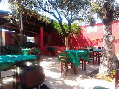 Photos of Camping Jamaica
