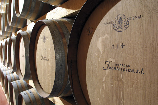 Bodegas Fuentespina S.L.