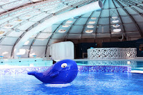 Aqua'Bazelle - Piscine Tournesol du Pays de Bazelle à Chabris