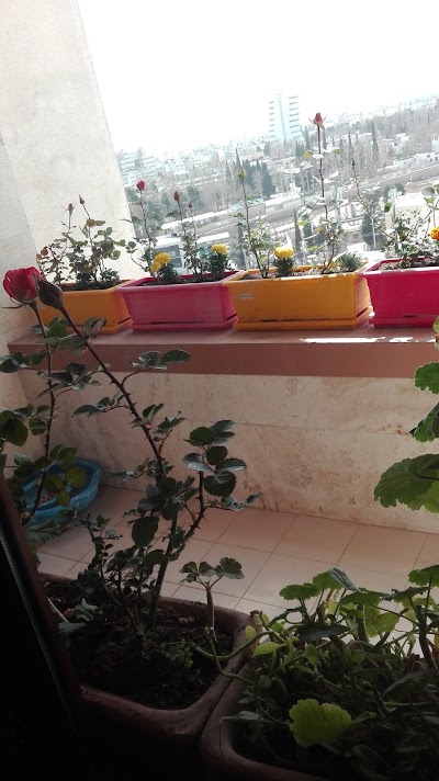 Photos of Hailar