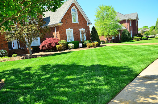 Mom's Lawn Care - Thumbnail