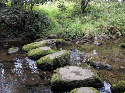 Wanless Stepping Stones - Thumbnail
