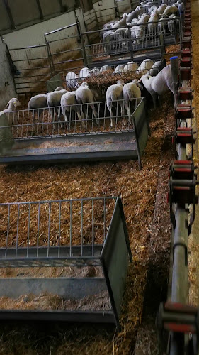 Opinii despre Ферма Верде în Пловдив - Куриерска услуга