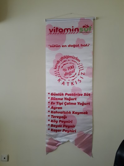 Vitamin Süt