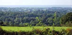 Photo n°3 de Domaine de la Bourdonnière à Sainte-Gemmes-le-Robert (Lodge)