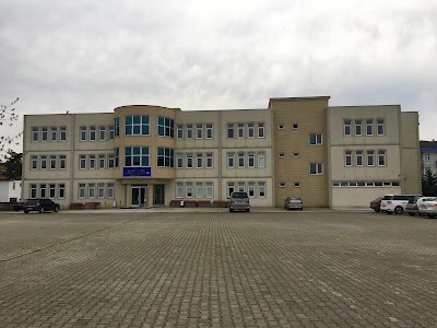 university