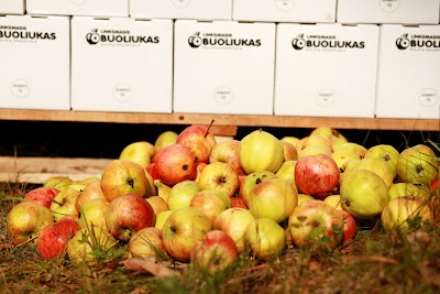 Photos of Happy apple