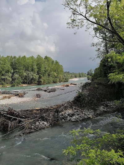 Riserva Naturale Confluenza Gesso - Stura