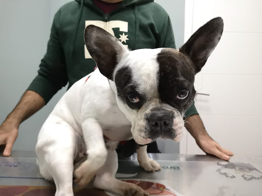 Centro Veterinario La Granja - Thumbnail