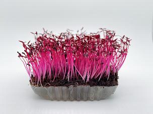 Photo n°2 de La ferme de maman à Pleyber-Christ (Fournisseur d'engrais)