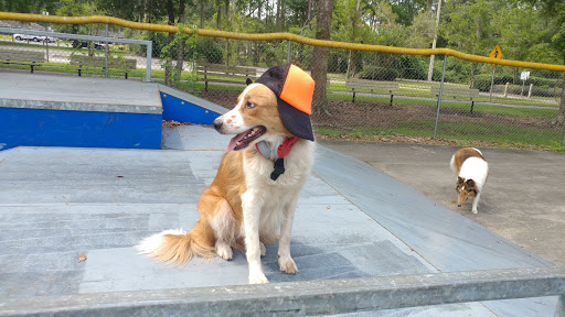 Larry M. Carroll Memorial Park - Thumbnail