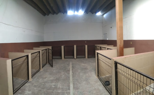 Clinica veterinaria Imperial CANIN - Thumbnail