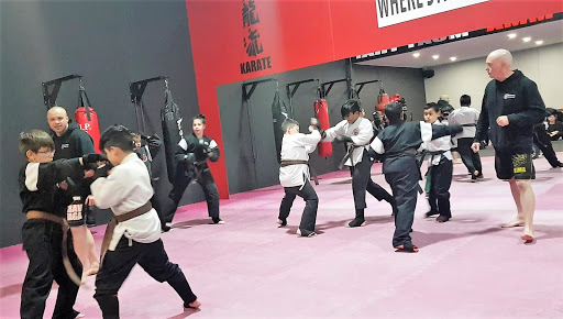 All Active Martial Arts