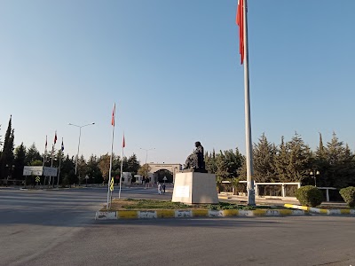 Mersin University Introduction