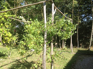 Photo n°31 de Chalets & Camping Villa Mayari à Escosse (Terrain de camping)