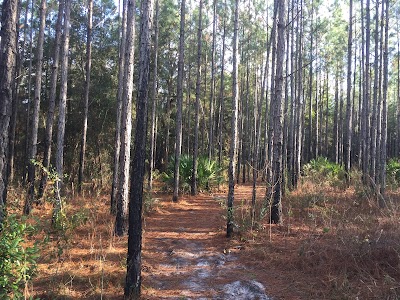 Barr Hammock Preserve