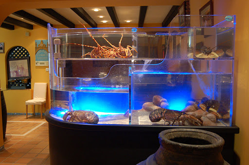 Acuarios Oceánicos Prieto - Acuarios, Viveros y expositores Refrigerados Para Pescados y Mariscos - Thumbnail