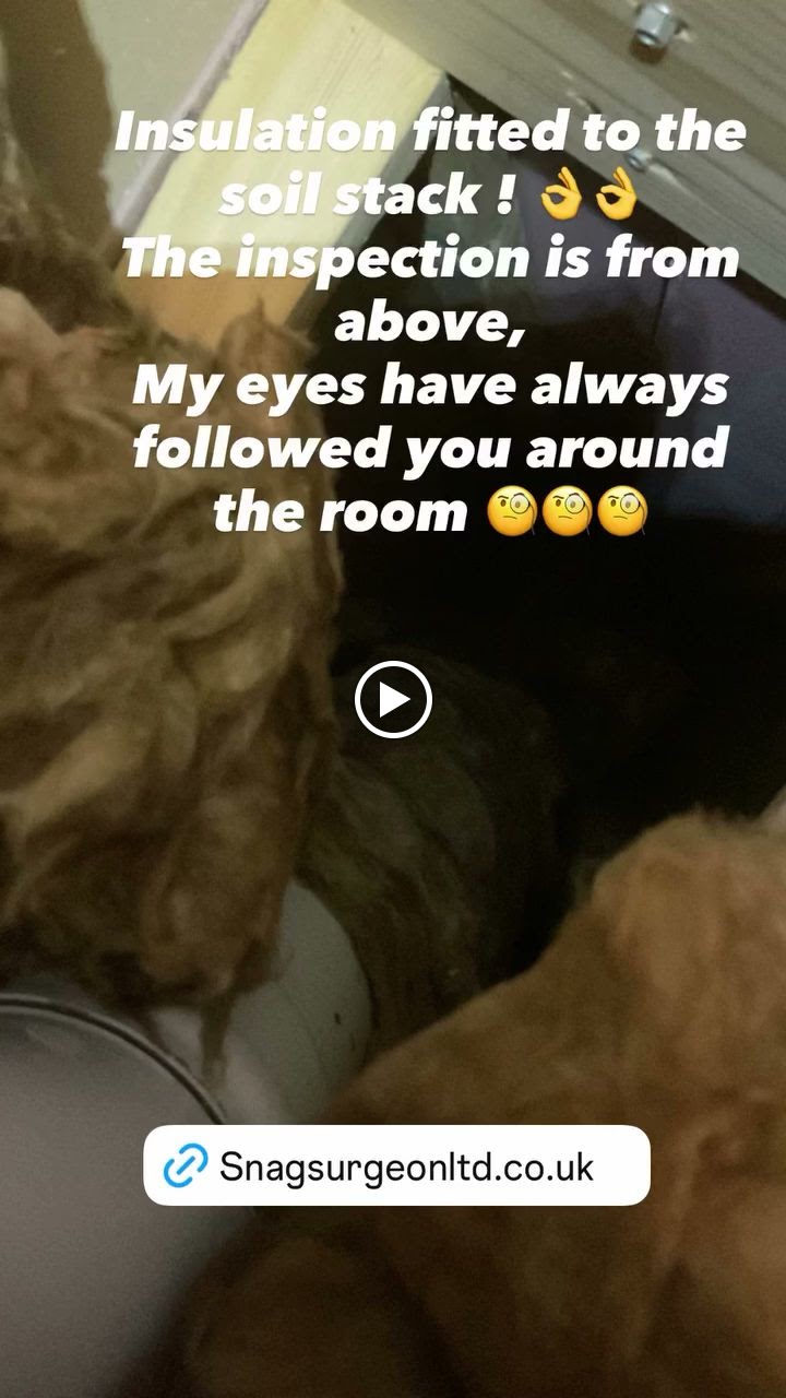 The Snagsurgeon , Manchester, RPSA, NHQC certified photo 3