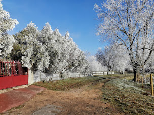 Photo n°31 de Domaine des Formes à Effiat (Chambre d'hôtes)