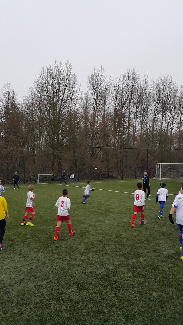 Door Wilskracht Ontstaan (D.W.O.)