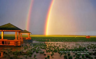 Photos of Selena Travel Mongolia LLC