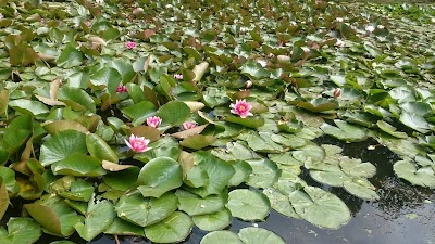 Photos of Enkuru Taka
