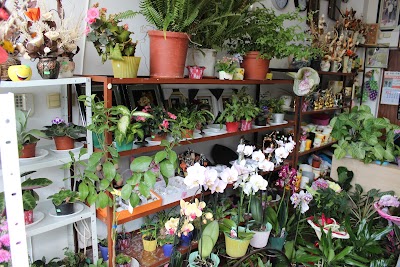 Photos of Flower Shop Mitko