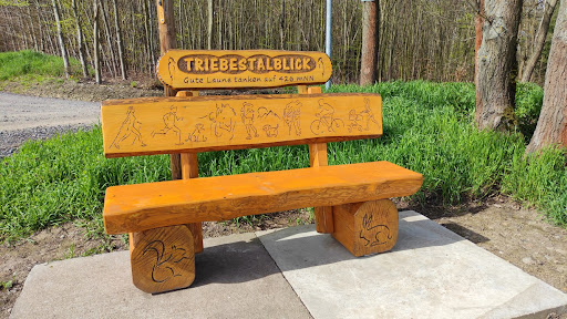 Triebestalblick - Visual