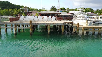 Photos of Bay Islands College of Diving