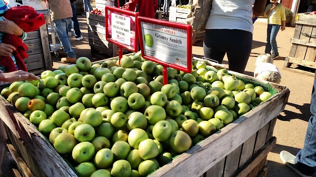 Carter Mountain Orchard