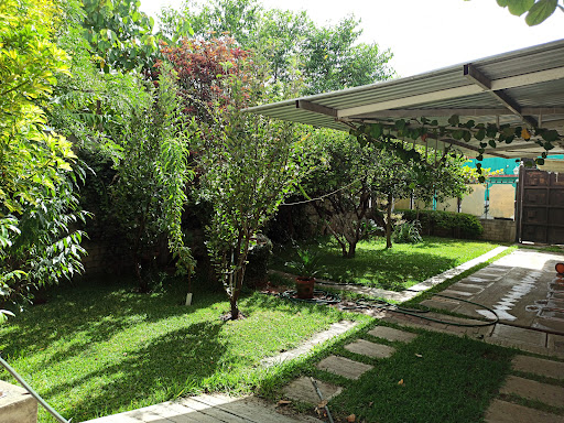 El jardín de las Orquídeas