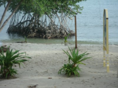 Photos of Sea Glass Inn