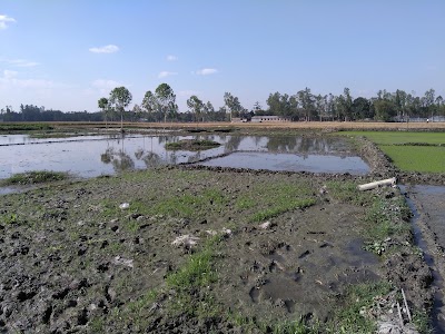Photos of গোপাল, বটতলা বাজার