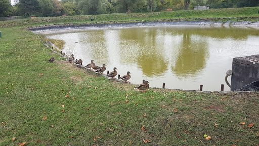 Parc Almet - Thumbnail