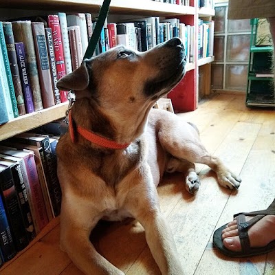 Honest Dog Books