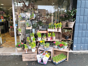 Photo n°1 de Les fleurs d'anthorium à Seclin (Fleuriste)