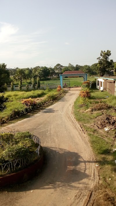 Photos of Chandina Powrasova Office